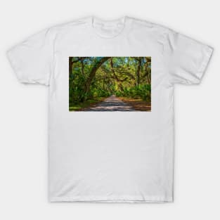 Cumberland Island National Seashore T-Shirt